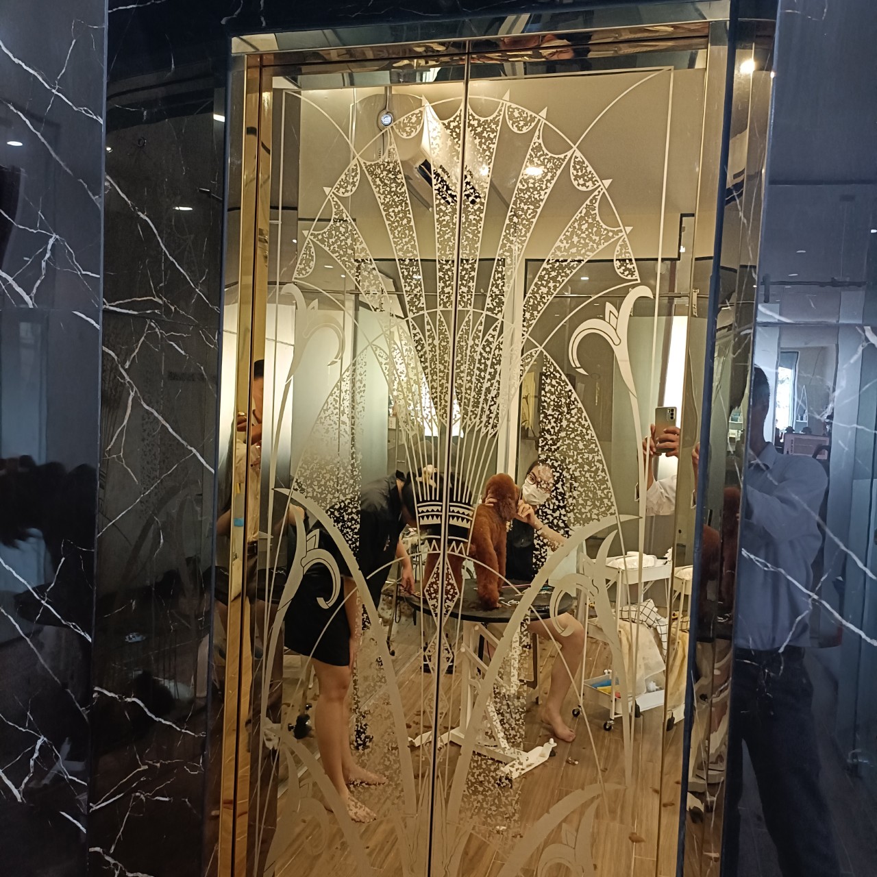 Yếu tố thiết kế thang máy gia đình